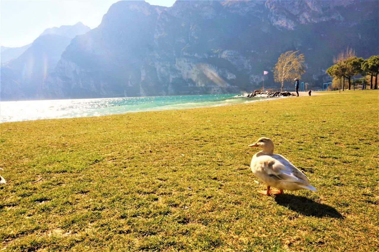 Apartment Brione Riva del Garda Exterior foto