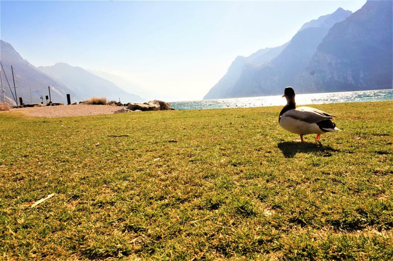Apartment Brione Riva del Garda Exterior foto
